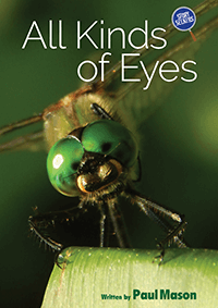 All Kinds of Eyes