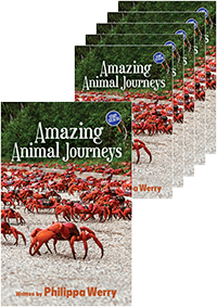 Amazing Animal Journeys: Title Set
